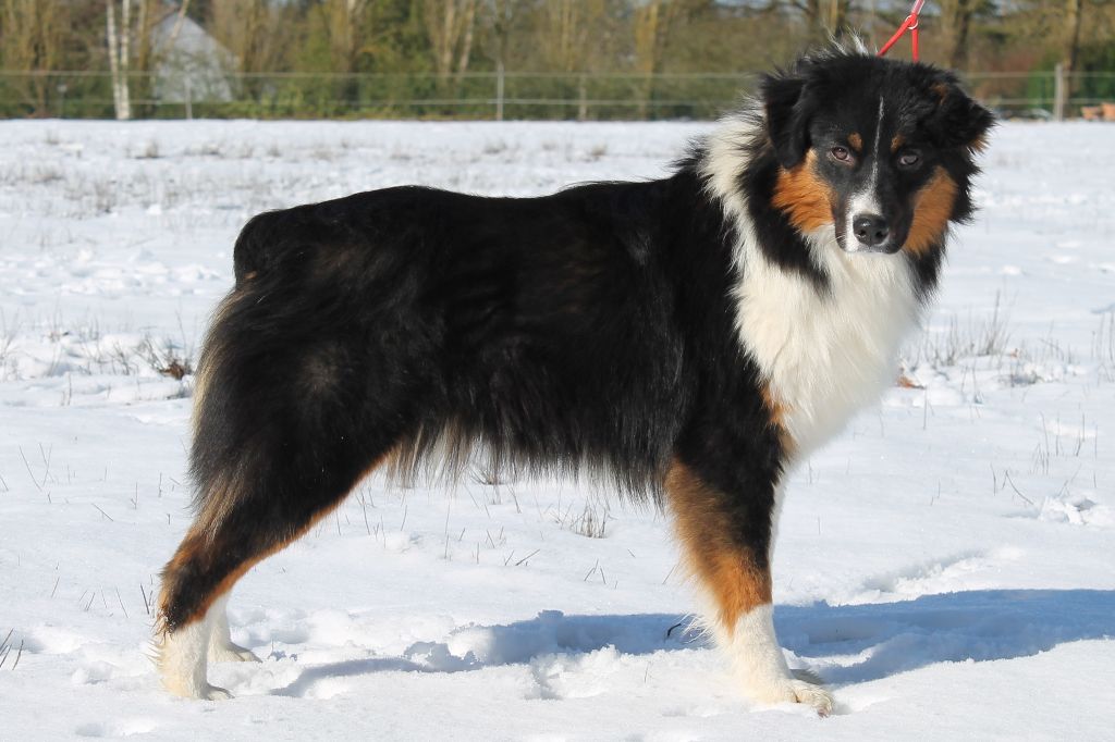 N'joy of go Fast Storm