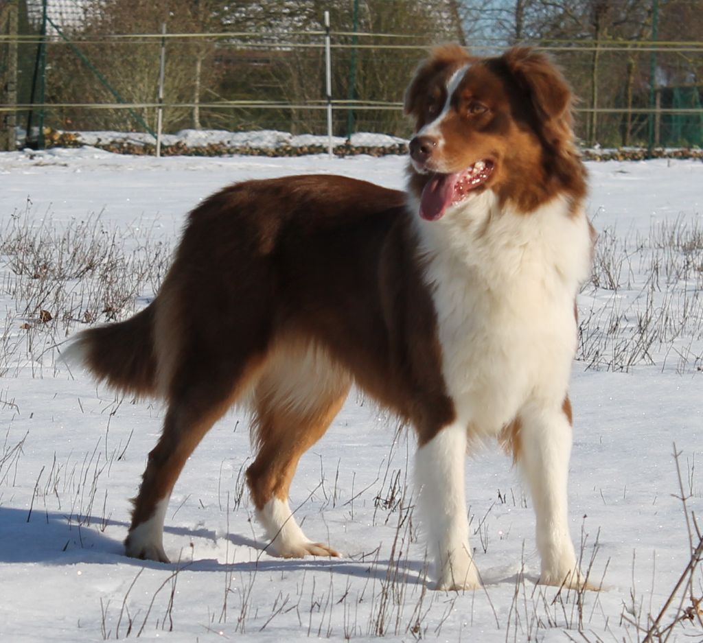 Maya of go Fast Storm