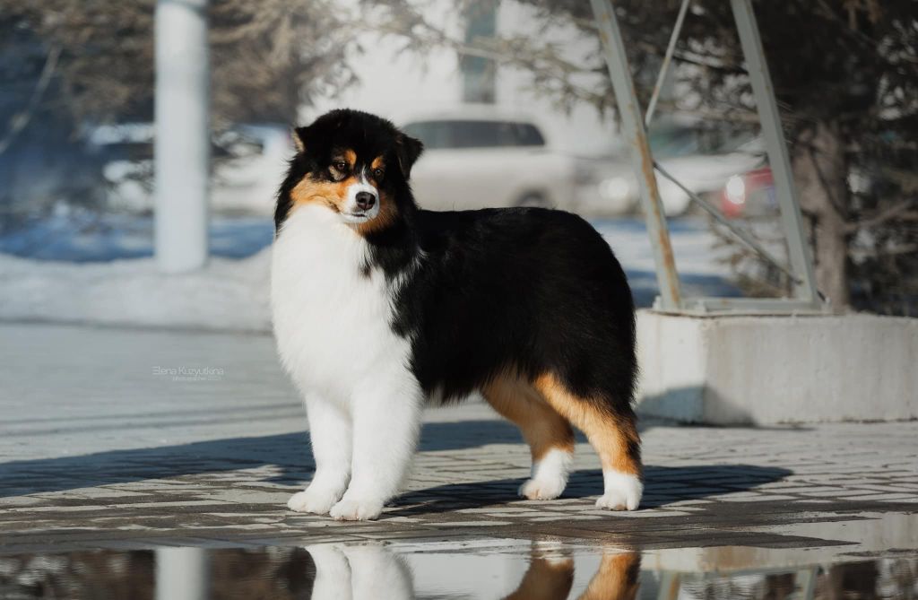 Aria musical play (Sans Affixe)