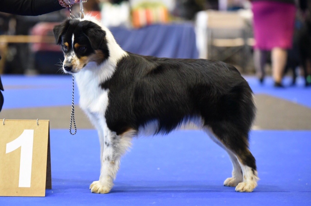 Nanaka devient championne de Suisse